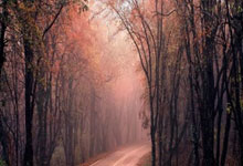 虎扑体育:亚残运会迎来开幕前第一个比赛日 轮椅篮球小组赛率先开打央视新闻客户端.