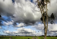 虎扑体育:图片报:药厂球员霍夫曼很快会就他的未来与罗尔费斯进行对话.