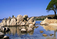 虎扑体育:综述|启德体育园点燃香港“盛事之都”新引擎.